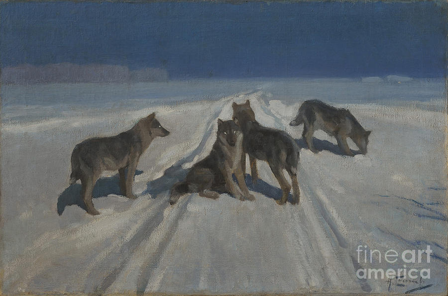 Wolves. Artist Stepanov, Alexei Drawing by Heritage Images