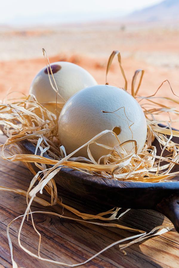 Wolwedans, Namibrand Nature Reserve, Namibia, Africa  Decorative Ostrich Eggs Photograph by Jalag / Gregor Lengler