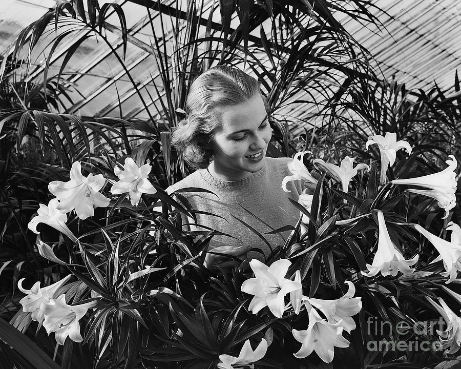 Woman Among White Lilies Photograph by Bettmann