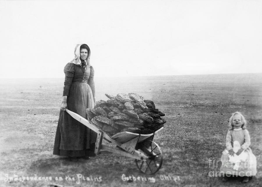 Woman And Daughter Gathering Buffalo Photograph by Bettmann