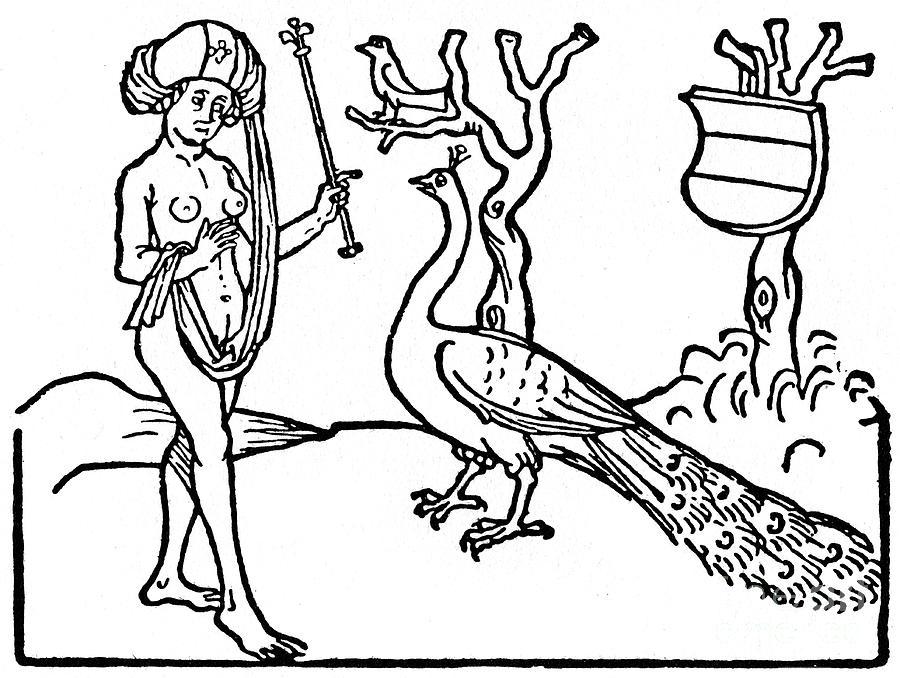 Woman And Peacock, 1475 1964. Artist Drawing by Print Collector
