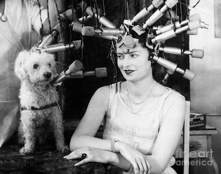 Woman And Pet Poodle Receiving Hair Photograph by Bettmann