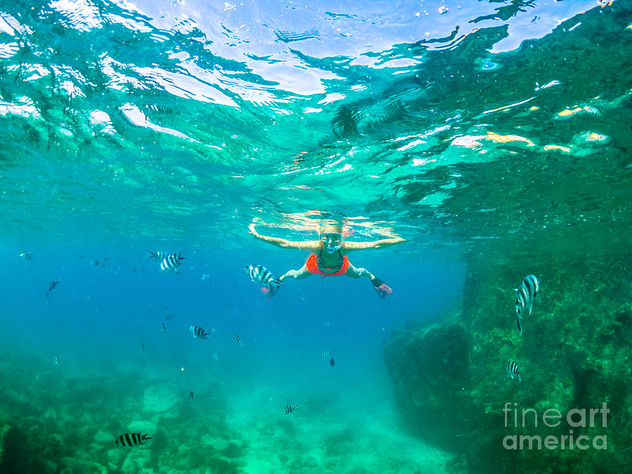 Woman apnea snorkeling Photograph by Benny Marty