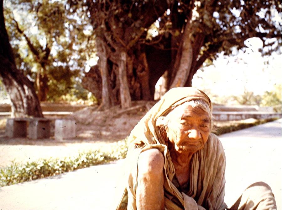Beggars Photograph - Woman begging, India by Barron Holland