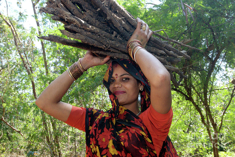 Woman Carrying Firewood Photograph by Louise Murray/science Photo ...