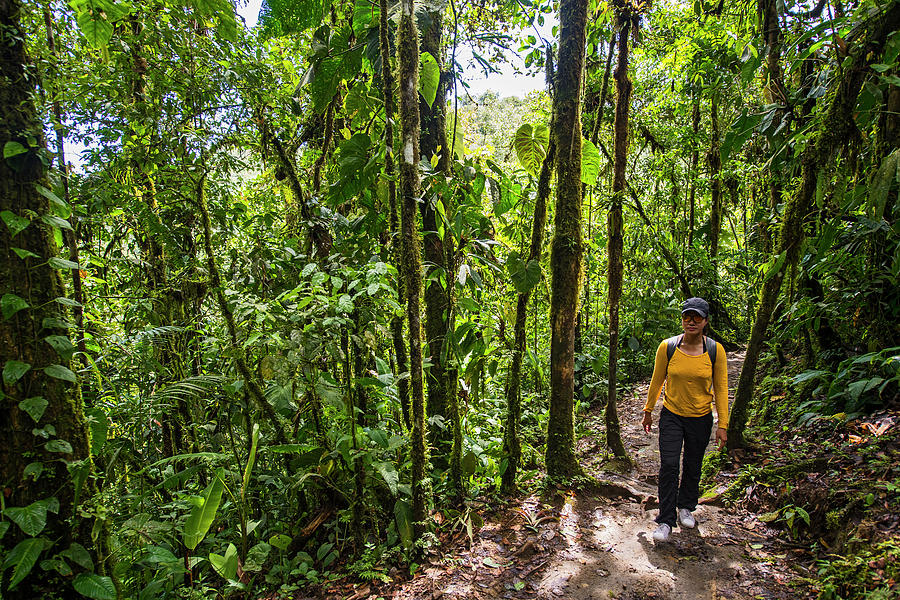 Jungle Photograph - Woman Exploring The Rainforest In Mindo, Pichincha, Ecuador by Cavan Images