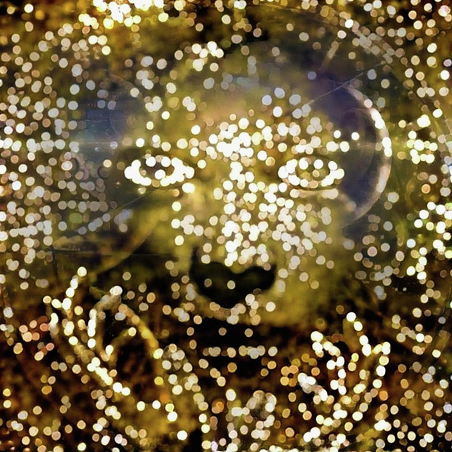 Woman face in space light Digital Art by Bruce Rolff