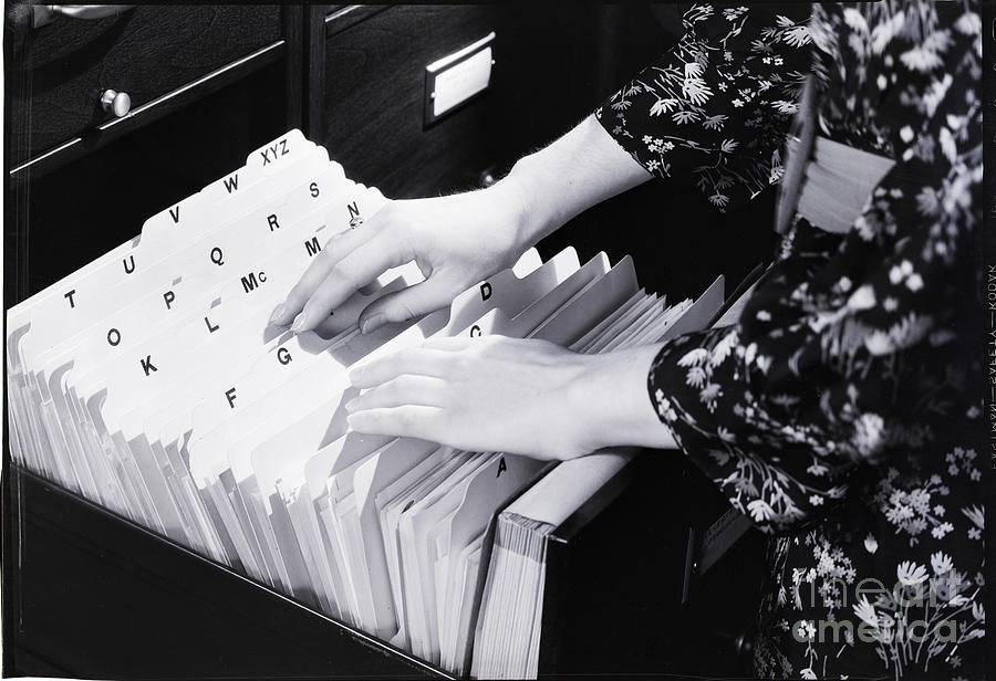 Woman Going Through Files Photograph by Bettmann