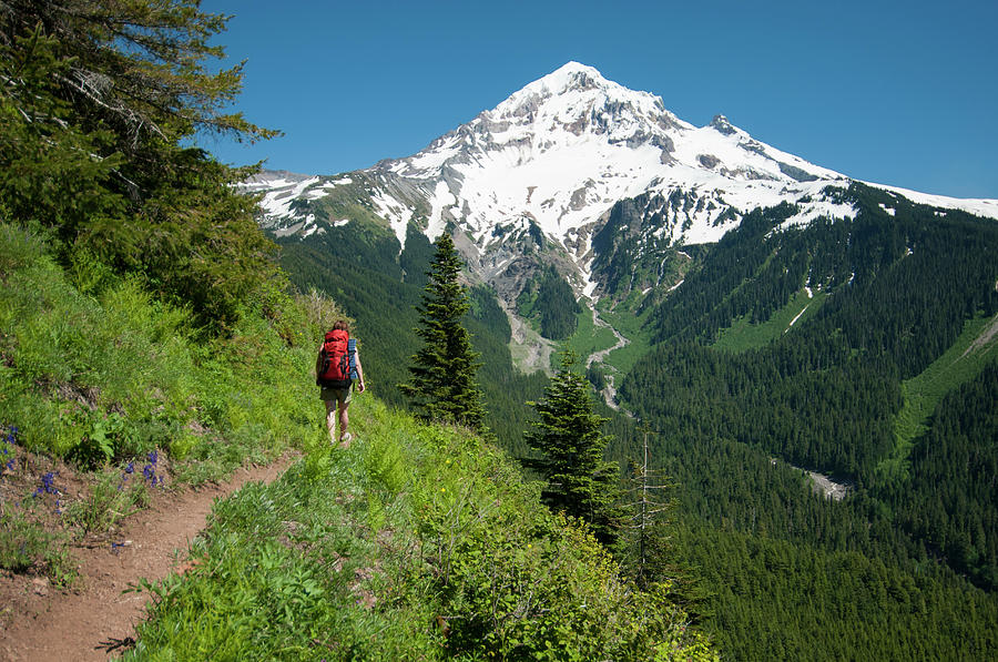 Woman Hiking Along Timberline Trail Photograph by Jeff Diener - Fine ...