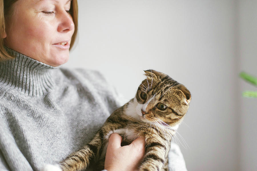 Woman Holding Beautiful Cat On White Background Photograph by Cavan ...