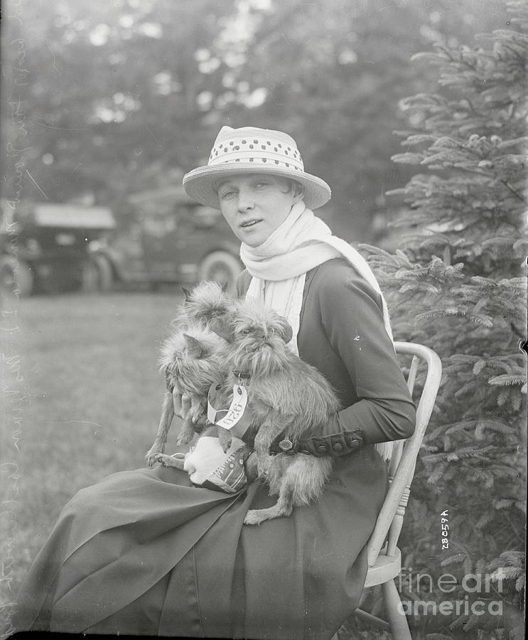 Woman Holding Three Dogs Photograph by Bettmann