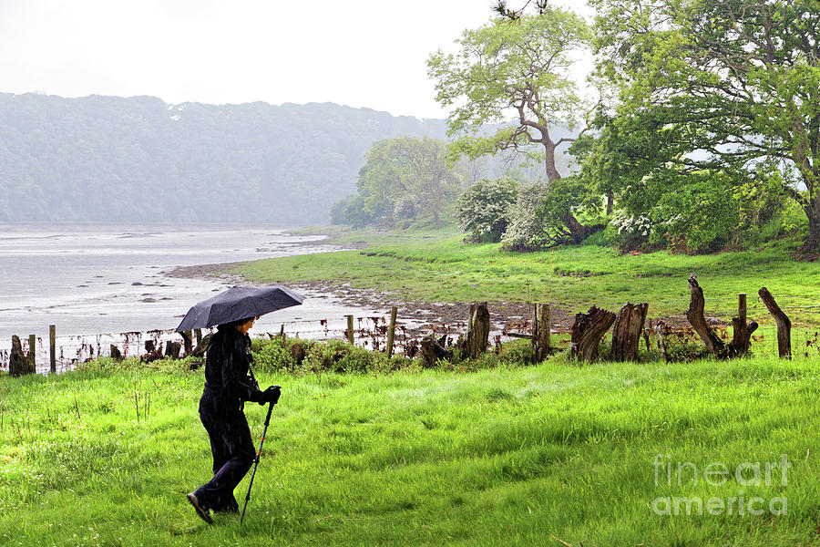 Woman holding umbrella hiking in rain hazy wet green pasture trees fence water shore estuary lake Photograph by Robert C Paulson Jr