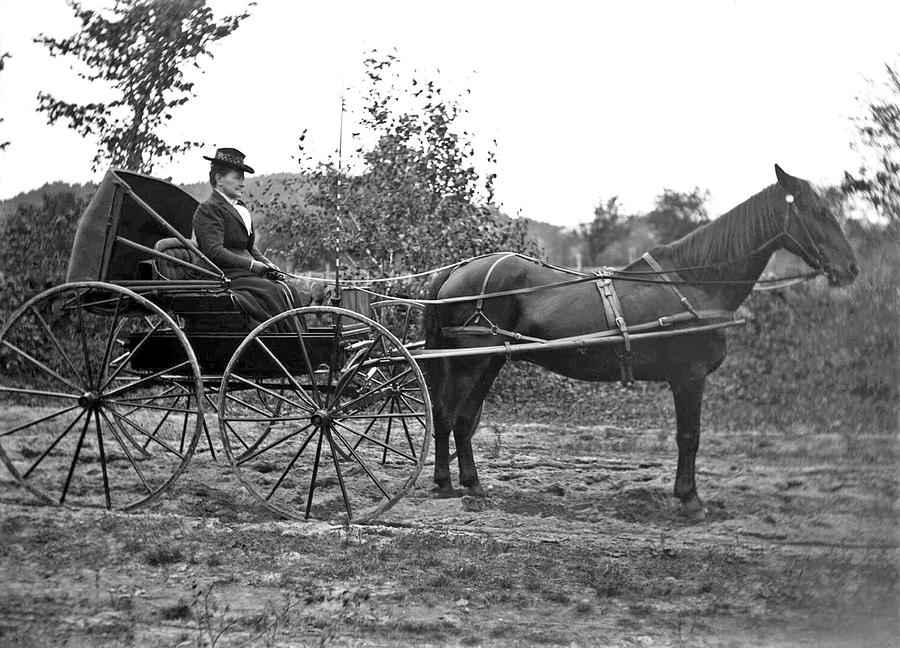 Woman in a carriage, with horse, dressed for cold weather, Greenwich ...