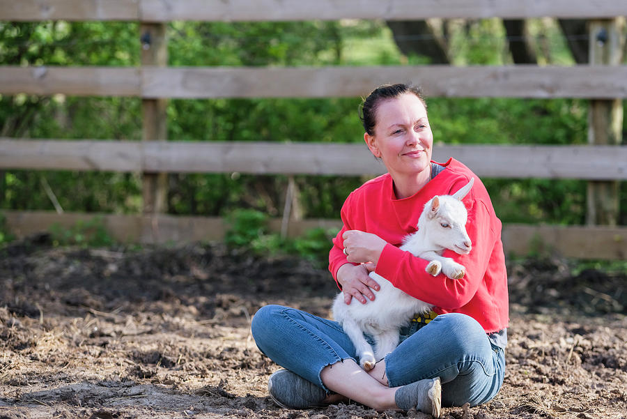 Spring Photograph - Woman In Red Sweatshirt Holding A White Baby Goat On Her Lap. by Cavan Images