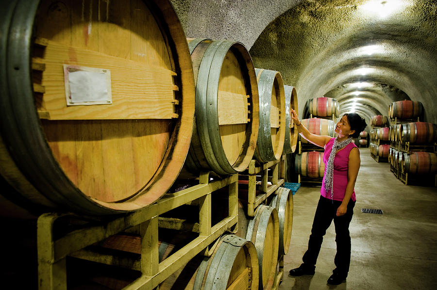 Woman Inspecting Barrels In Cave At Photograph by Seanfboggs