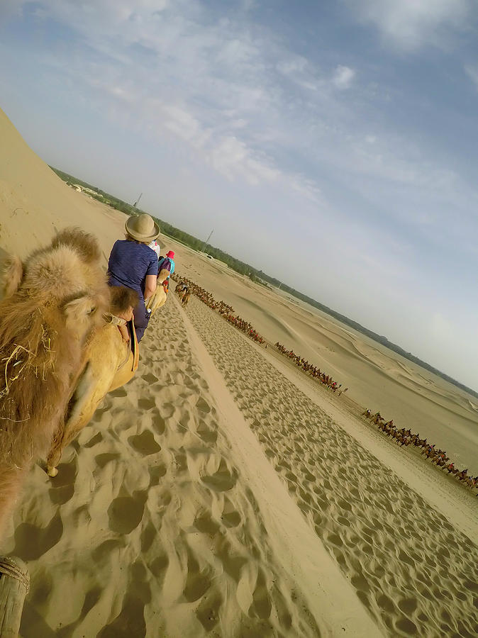 Woman On Camel In Taklamakan Desert, China Photograph