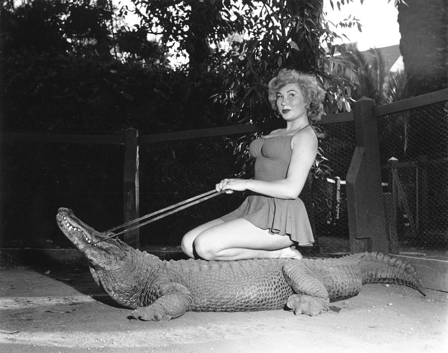 Woman Rides An Alligator Photograph by Michael Ochs Archives