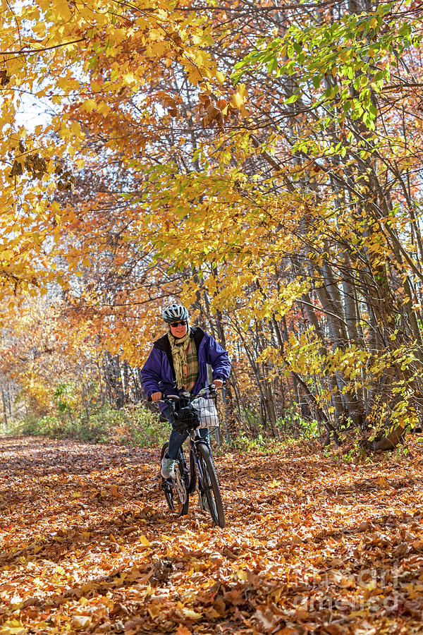 Woman Riding A Bicycle On A Trail Photograph by Jim West/science Photo Library