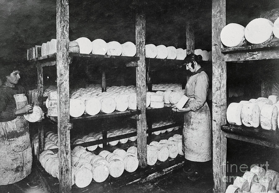 Woman Scraping Mold Off Cheese Photograph by Bettmann