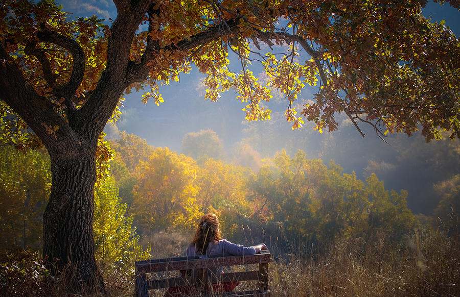 Woman Sitting On A Bench Under A Tree And Facing A Yellow Autumn ...