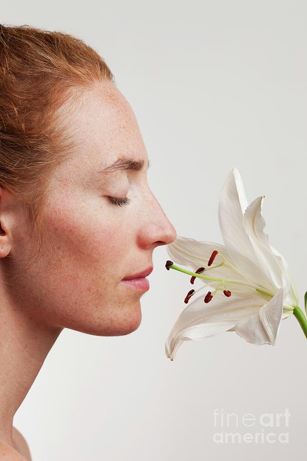 Woman Smelling White Lily Flower Photograph by Cristina Pedrazzini/science Photo Library