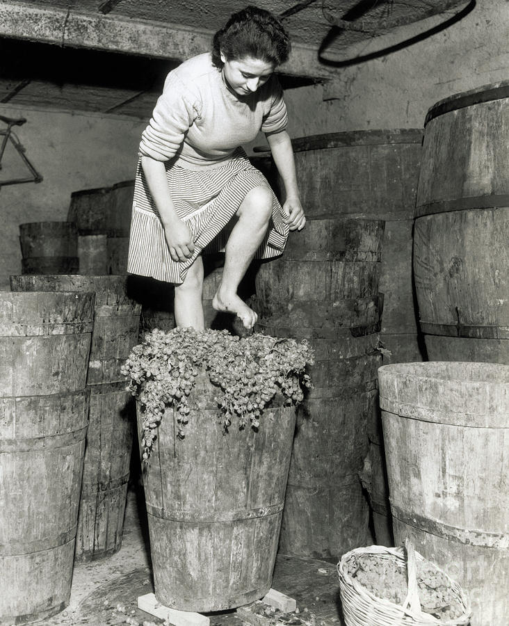 Woman Stomping Grapes Photograph by Bettmann