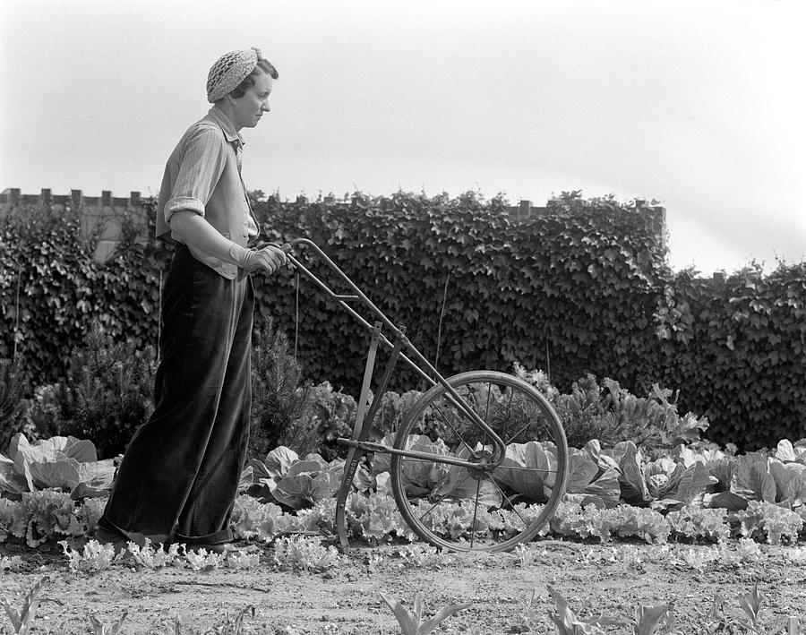 Woman Tilling Soil With Hand Pushed Photograph by H. Armstrong Roberts