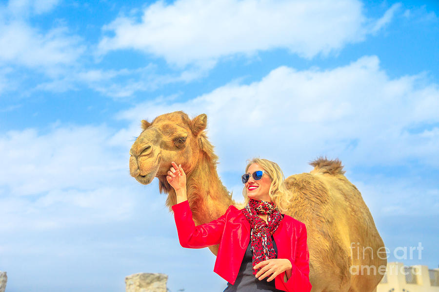 Woman touches camel Photograph by Benny Marty