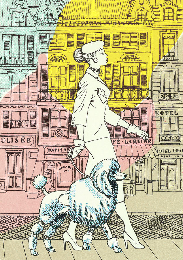 Vintage Drawing - Woman walking in the city with poodle by CSA Images