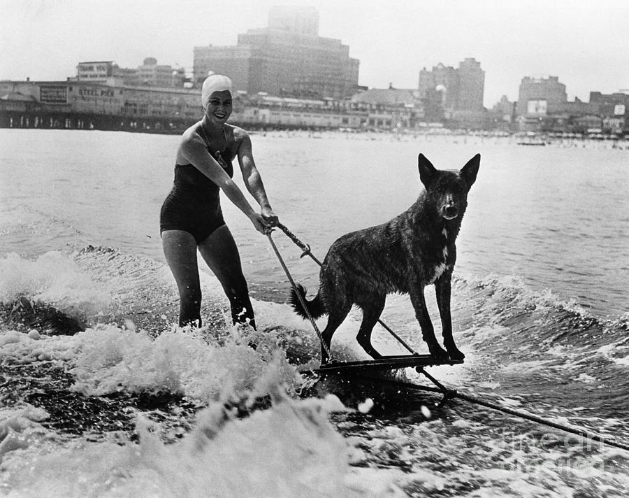 Woman Water Skiing With Her Dog Photograph by Bettmann