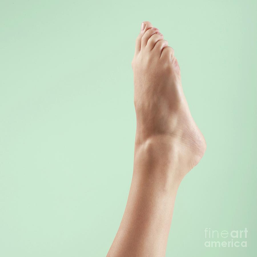 Woman's feet - Stock Image - P701/0305 - Science Photo Library
