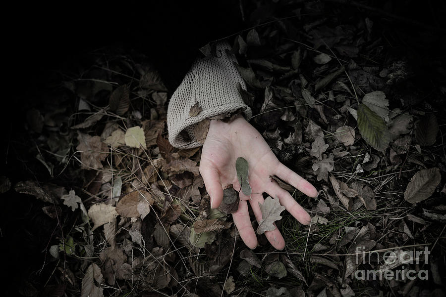 Womans Hand On Forest Floor Photograph by Westend61 Womans Hand On Forest Floor Photograph by Westend61