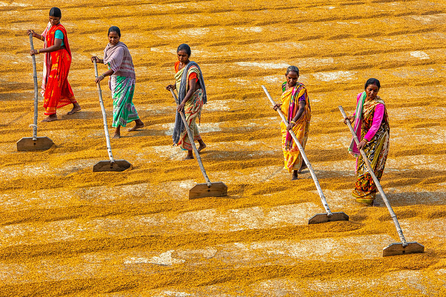 Pattern Photograph - Women At Work II by Abhraneel Chakraborty