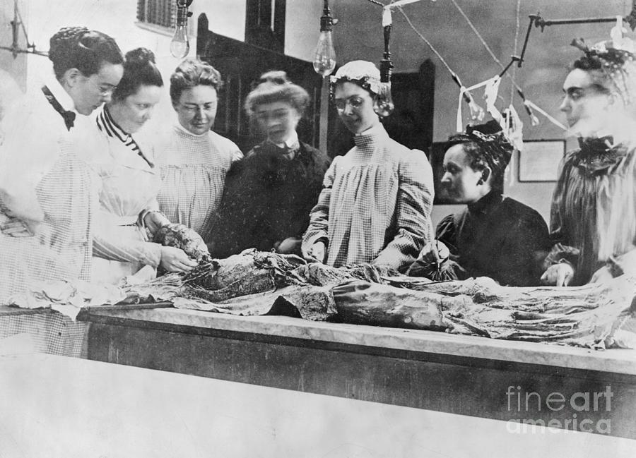 Women Dissecting Human Cadaver Photograph by Bettmann