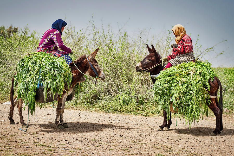 Women on Mules - Morocco Photograph by Stuart Litoff