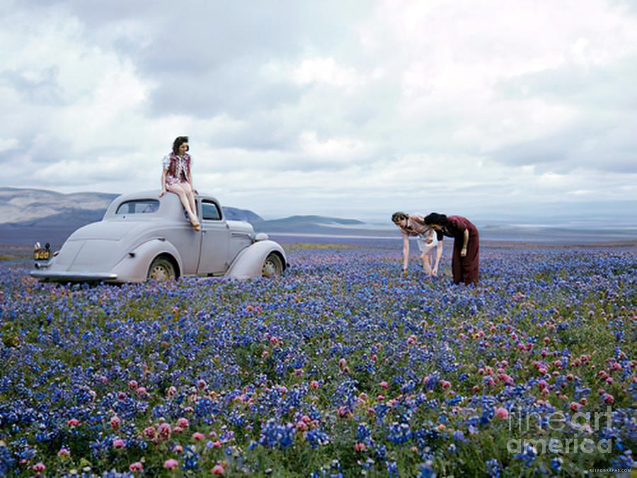 Women Picking Daisies In Meadow With 1930s Vehicle Photograph by Retrographs