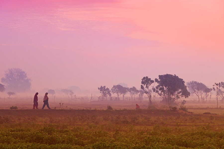 Women Villagers Crossing Field At Dawn Photograph by Adrian Pope