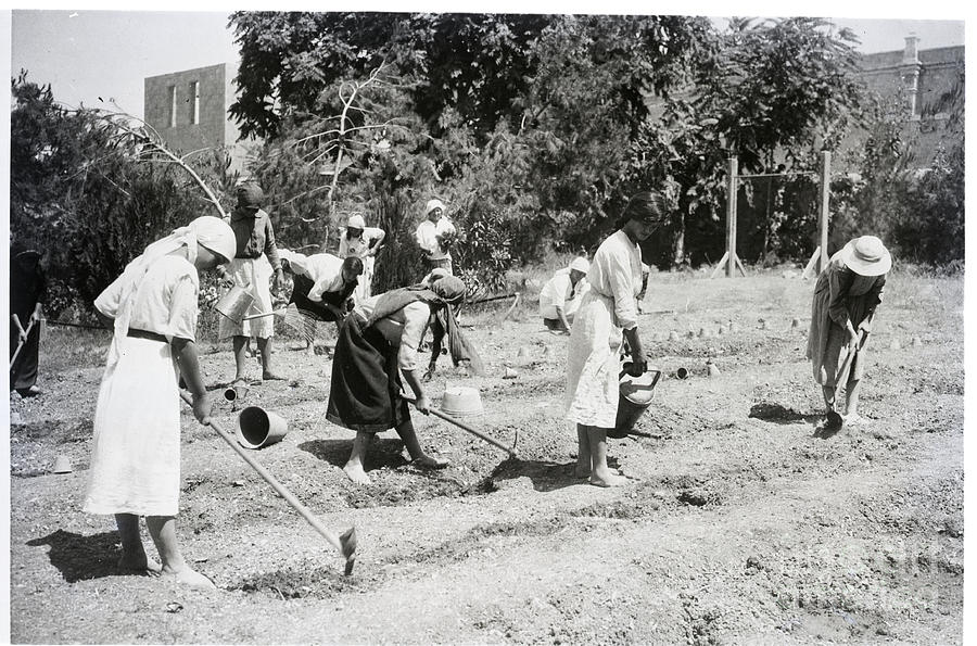 Women Working In Field On Ground Photograph by Bettmann Women Working In Field On Ground Photograph by Bettmann