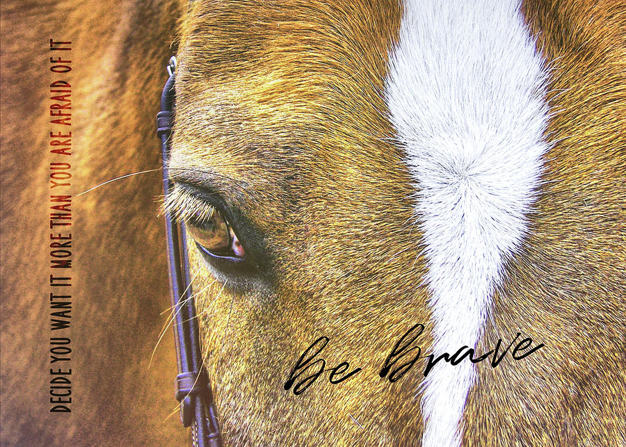 WONDER PONY quote Photograph by JAMART Photography
