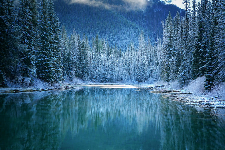 Banff National Park Photograph - Wonder Winter Land by Yongnan Li ?????