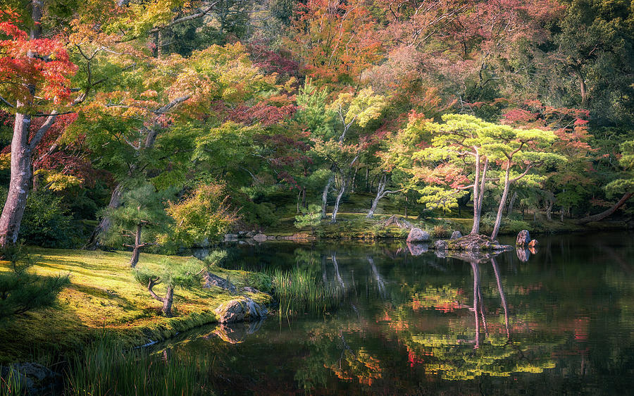 Wonderful colors at the Golden Pavilion in Kyoto. by Daniela Constantinescu Wonderful colors at the Golden Pavilion in Kyoto. by Daniela Constantinescu