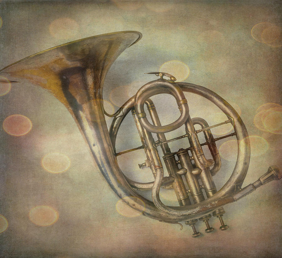 Wonderful Old French Horn Photograph by Garry Gay