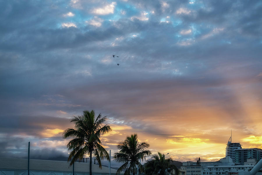 Wonderful Sunburst in the Morning at Sunrise in New Caledonia by Daniela Constantinescu Wonderful Sunburst in the Morning at Sunrise in New Caledonia by Daniela Constantinescu