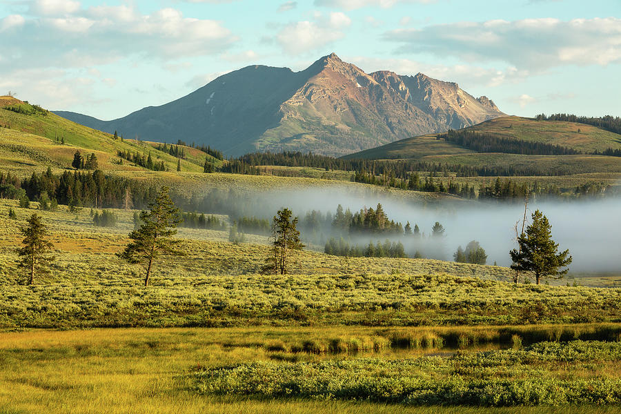 Wondrous Morning by Ann Skelton Wondrous Morning by Ann Skelton