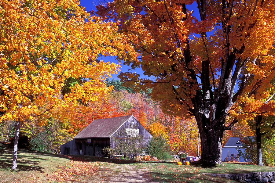 Wood Barn, Fall Colors, New Hampshire Digital Art by Heeb Photos - Fine ...