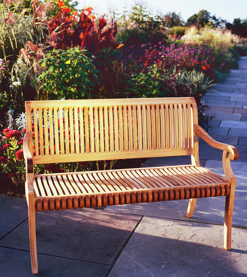 Wood Bench In Boader Edge Photograph by Richard Felber