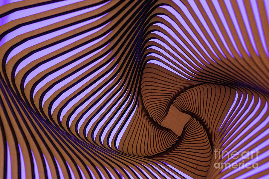 Abstract Photograph - Wood Bowl by Nicki Hoffman Abstract Photograph - Wood Bowl by Nicki Hoffman