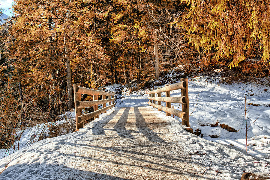 Fall Photograph - wood bridge in alpine forest on Dolomites mountains by Vivida Photo PC