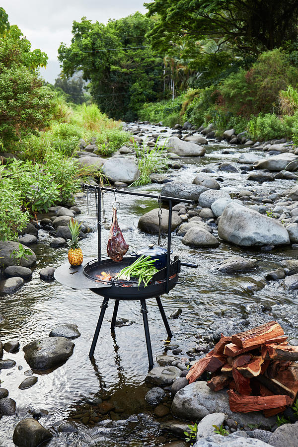 Barbecue Over Wood Fired Grill Near Stream by Cavan Images