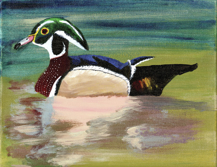 Wood Duck Painting by Kit Elissalde - Fine Art America